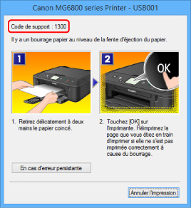 figure : Écran de message d'erreur